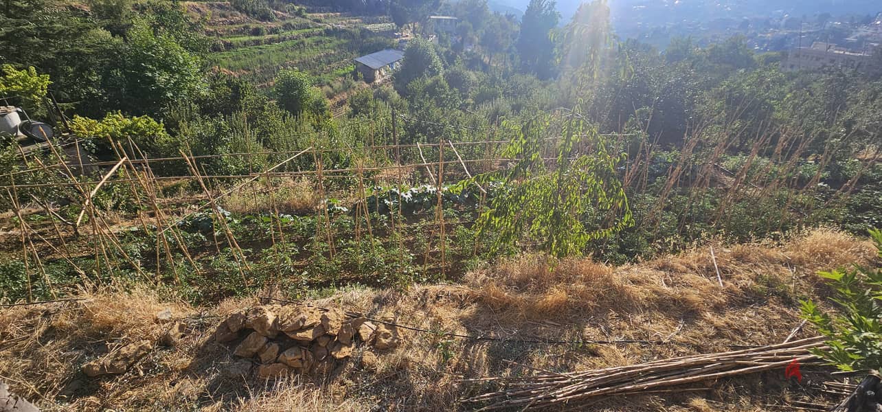 RWK361GZ - Land For Sale In Faraya - أرض للبيع في فاريا 1