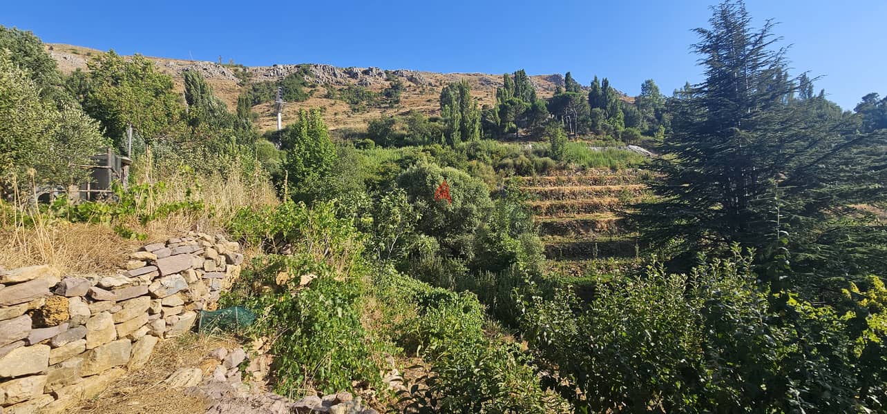 RWK361GZ - Land For Sale In Faraya - أرض للبيع في فاريا 3