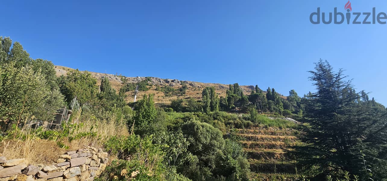 RWK361GZ - Land For Sale In Faraya - أرض للبيع في فاريا 4