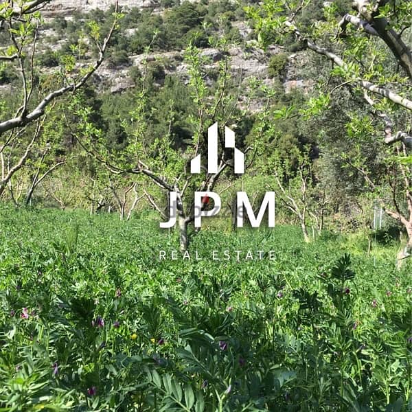 LAND FOR SALE - MAZRAAT ASSAF/KADAA BCHARRE - 0