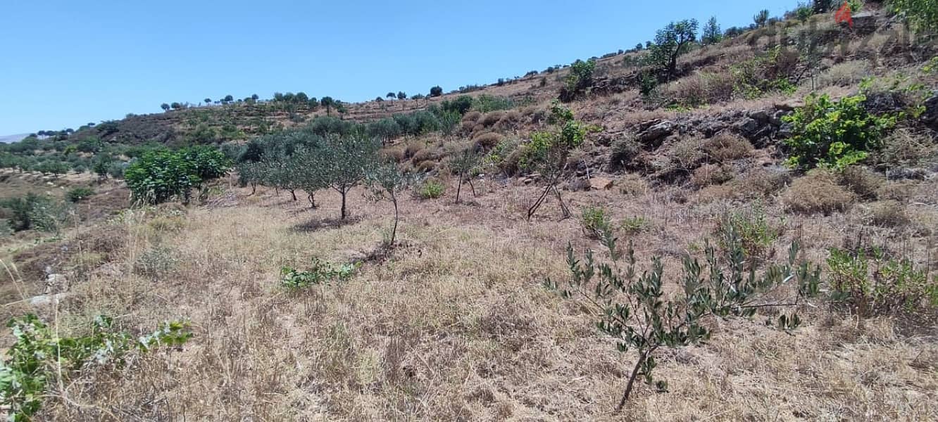 3800 Sqm | Land For Sale In Rachaya Al Wadi | Mountain View 1