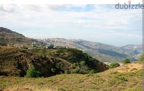 Piece of Land for Sale in Klayaat/ قطعة أرض  للبيع في  القليعات 0