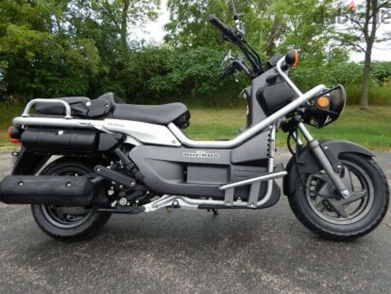 HONDA BIG RUCKUS 1