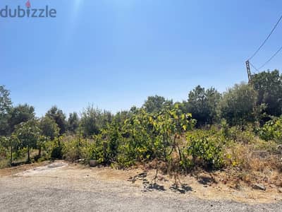 ارض للبيع في الرملية عاليه land for sale in aley ramlye