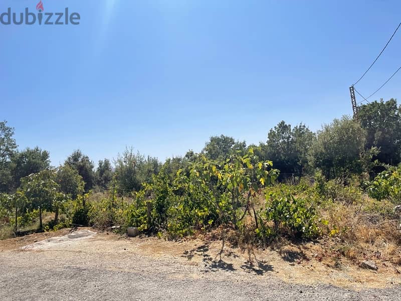 ارض للبيع في الرملية عاليه land for sale in aley ramlye 5