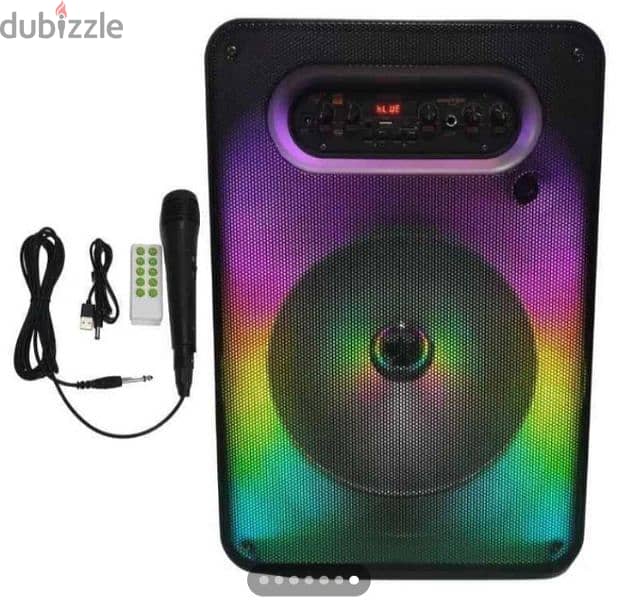 Karaoke Speaker with RGB lights 12 inches 40W RMS 1