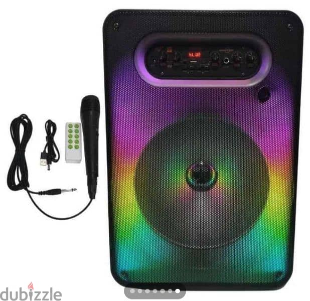 Karaoke Speaker 40W RMS with RGB Lights 12 inches 0