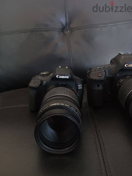 Canon 5D Mark lll + Canon 2000d 1