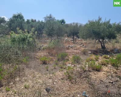 Prime land located in Koura Barsa/برسا REF#NK108247