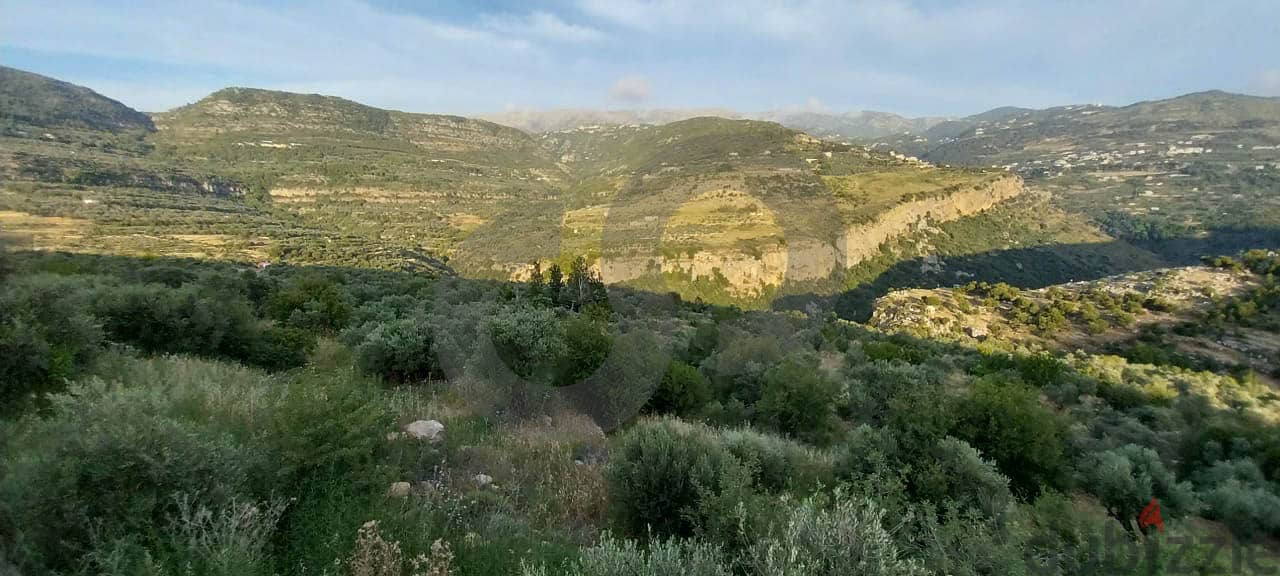 land for sale in Mazraa - Chouf/مزرعة - الشوفREF#YS109239 1