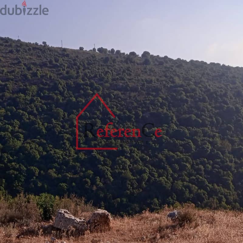 Land with 2 Buildings in Chabtine Batroun أرض مع بنايتان في البترون 3