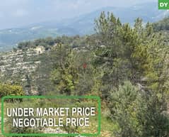 Stand alone home - mountain view -Anout-Chouf/عانوت-الشوف REF#DY111747 0