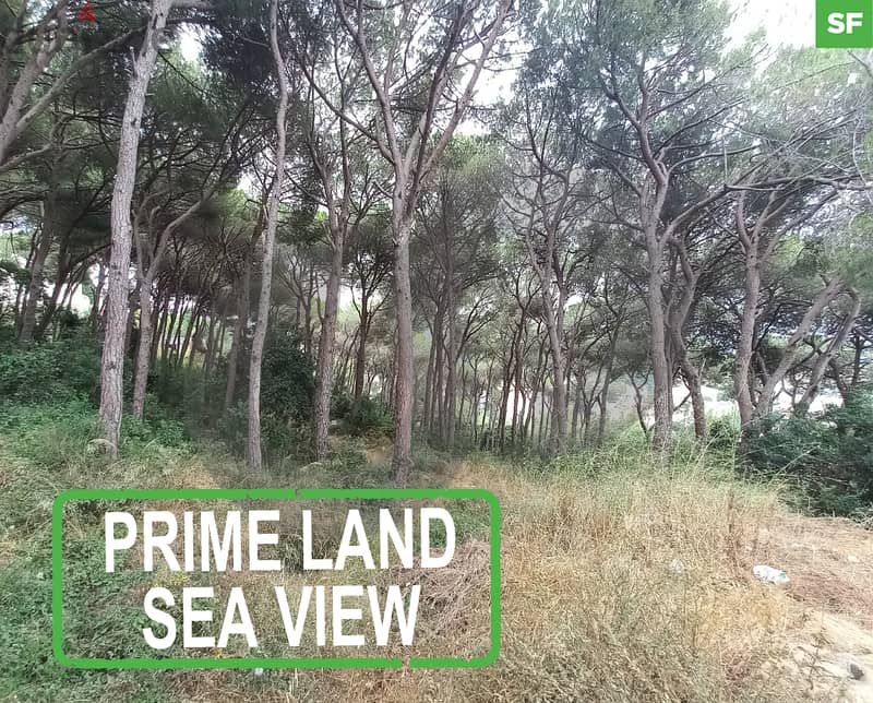 2,000 sqm plot of land in Roumieh/رومية REF#SF110631 0