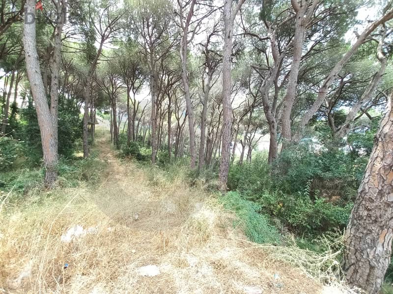 2,000 sqm plot of land in Roumieh/رومية REF#SF110631 1