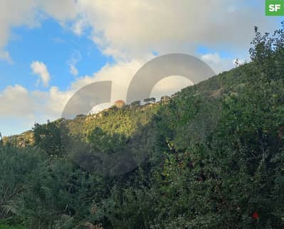 prime 700 sqm plot of land located in Dlebta/دلبتا REF#SF108706