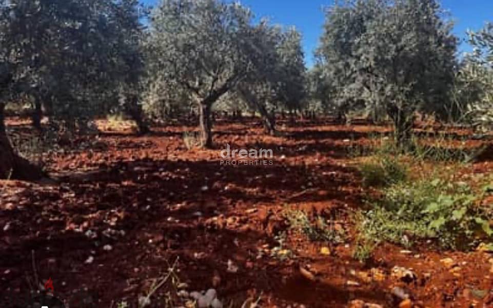 Land For Sale In Koura - Deddeh dpst1089 0