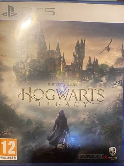 Hogwarts Legacy Ps5