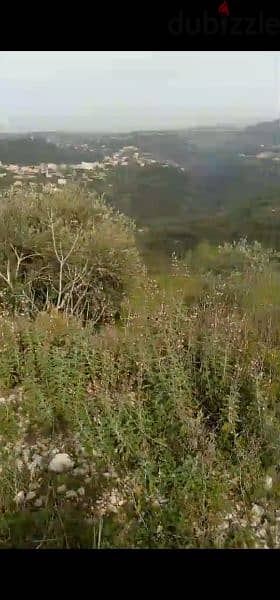 land for sale in hsaret jbeil. ارض للبيع في حصارات جبيل ٧٠،٠٠٠$ 1