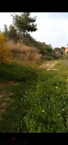 land for sale in hsaret jbeil. ارض للبيع في حصارات جبيل ٧٠،٠٠٠$ 4