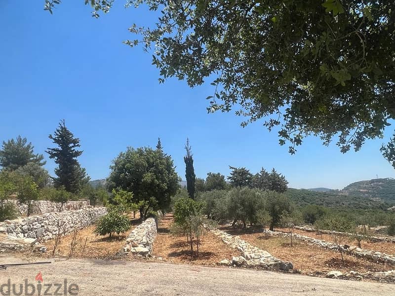 1028 Sqm | Land For Sale In Jezzine , Anan انان | Mountain View 2