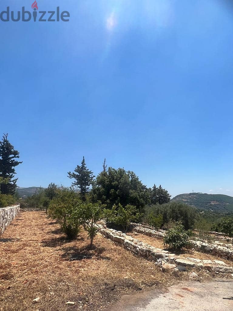 1028 Sqm | Land For Sale In Jezzine , Anan انان | Mountain View 3