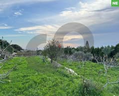 Panoramic view, clam area,Jbeil, berbara/ البربارة REF#NE100202 0