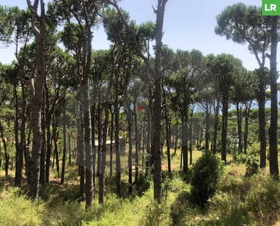 2451 sqm land in Baabda-Qurnayel/بعبدا - قرنايل REF#LR109140