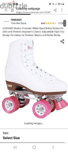 skates chicago 0