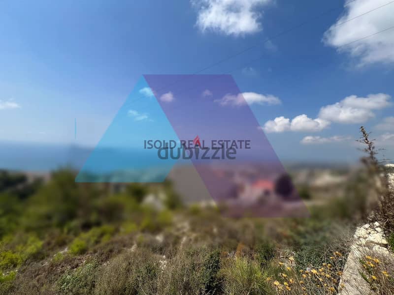 A 1055 m2 land having an open mountain/sea view for sale in Blat 0