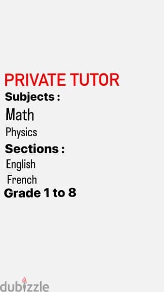 private tutor 0