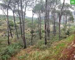 1360 SQM Land for Sale in Bkassine - Jezzine / بكاسين REF#DI110410 0