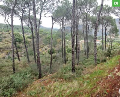 1360 SQM Land for Sale in Bkassine - Jezzine / بكاسين REF#DI110410