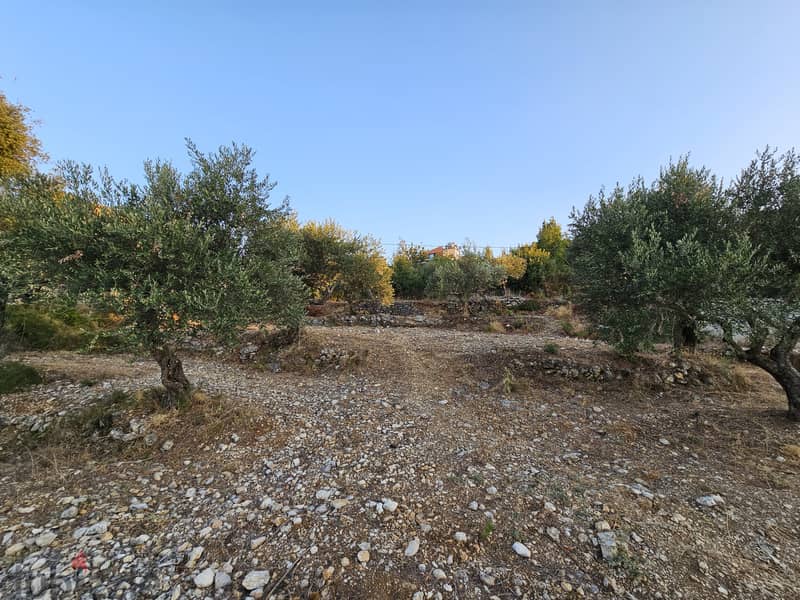 487 SQM Land For Sale In Chaptine أرض للبيع في شبطين #CT866160 1