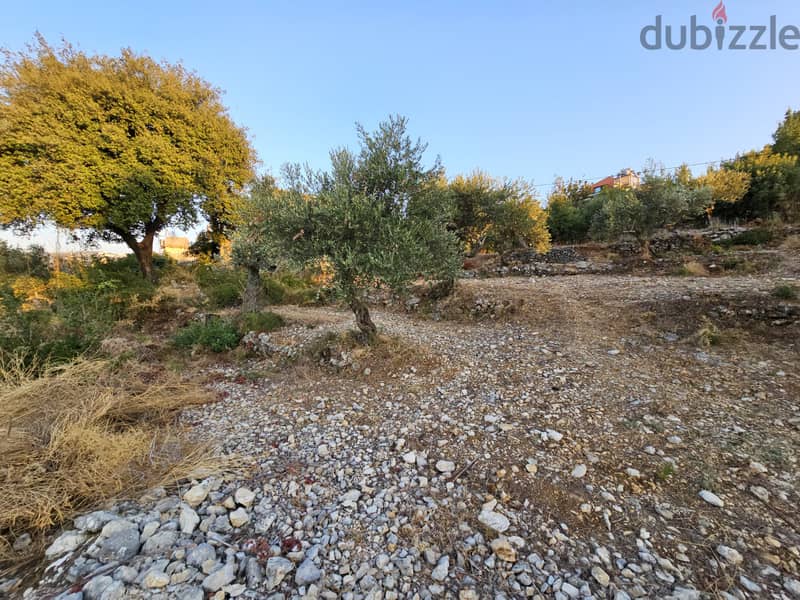 487 SQM Land For Sale In Chaptine أرض للبيع في شبطين #CT866160 2