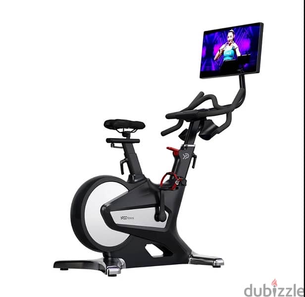 15.6” Screen Self Generating Electricity Bike 4