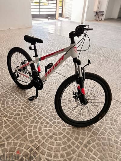 Totem Bicycle 24 inch - Up to 13 years old