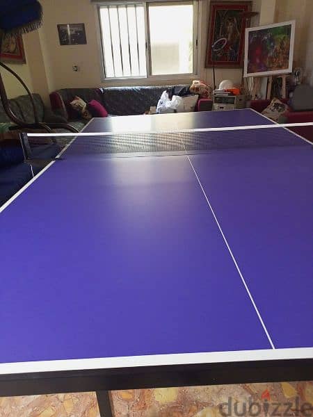 Olympic Ping Pong Table 1