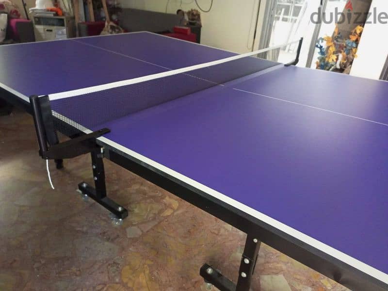 Olympic Ping Pong Table 2