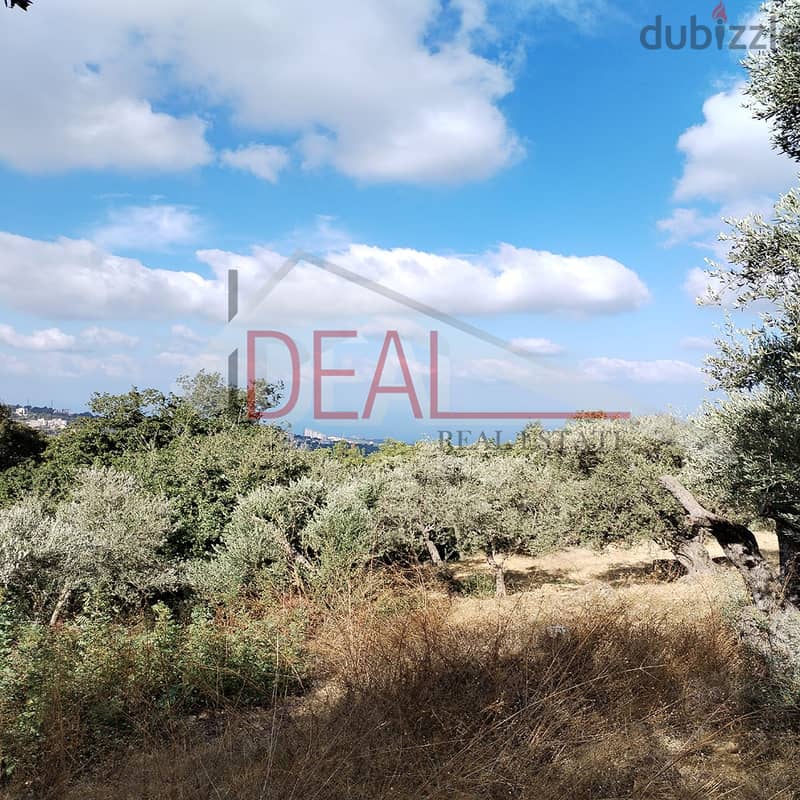 Land for sale in Aley - Aynab  2130 SQM  REF#SSH261 1