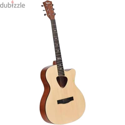 Tayste TS-32 Acoustic Guitar (Multiple Colors Available)