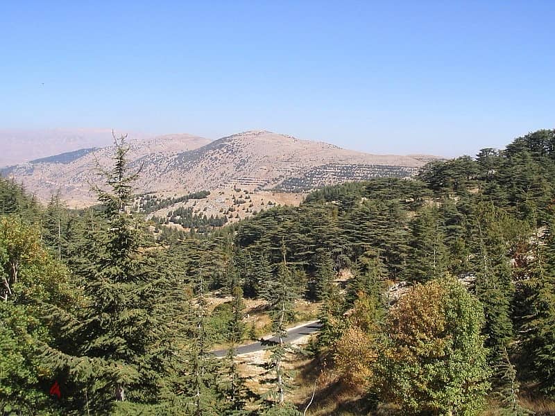 Land in Barouk Arz Road for Sale - أرض للبيع في طريق الباروك الأرز 0