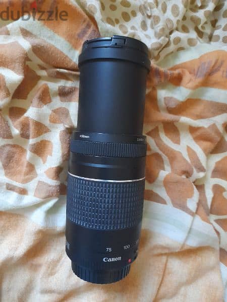 canon 75-300mm lense 1