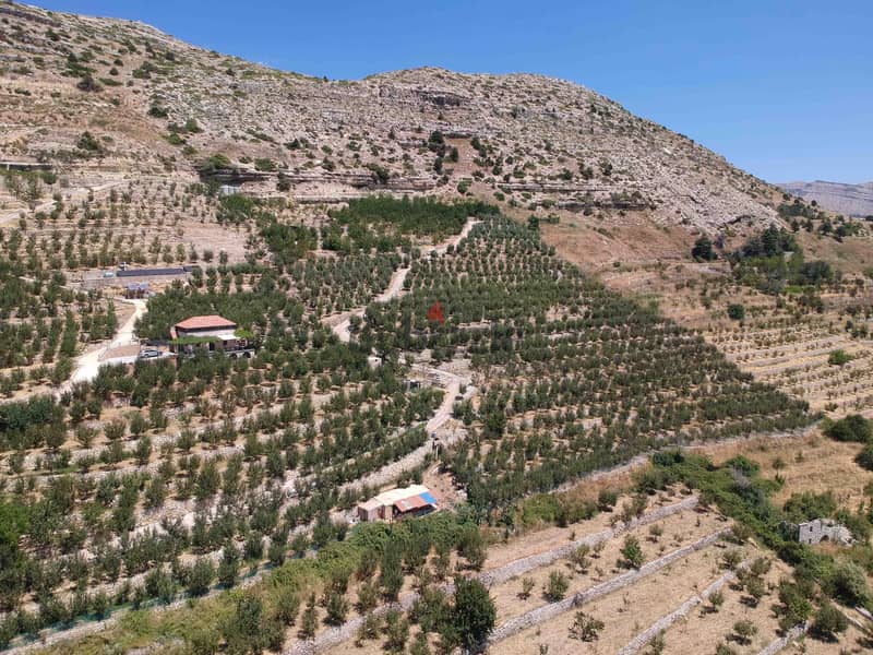 Land For Sale In Mazraat El Syad |Breathtaking View|أرض للبيع|PLS26109 7