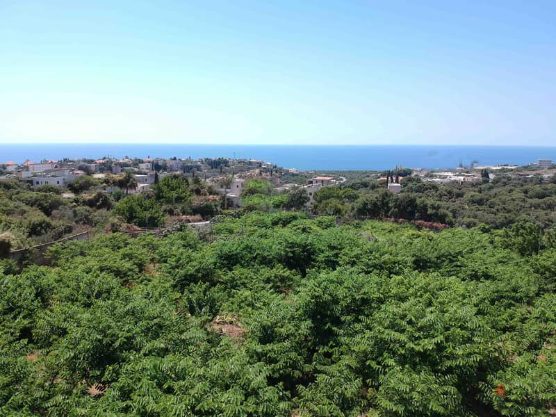 Land For Sale In Amchit | Unblockable Sea View | أرض للبيع | PLS 26105 1