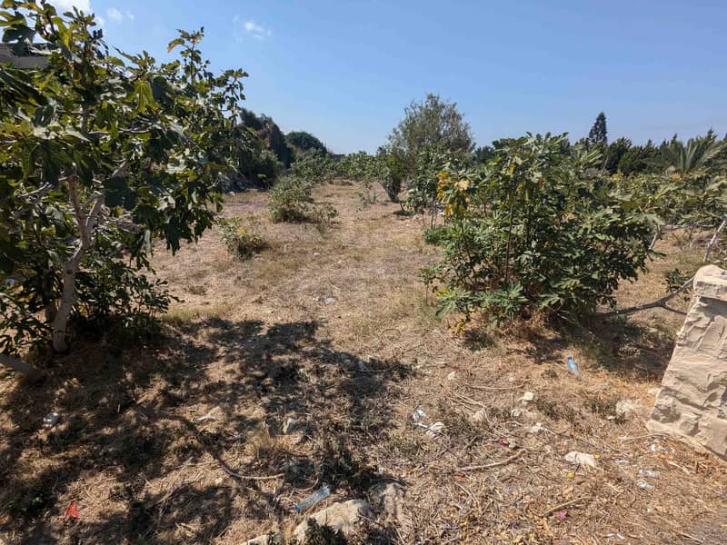 Land For Sale In Berbara | Strategical Location | أرض للبيع |PLS 26106 2