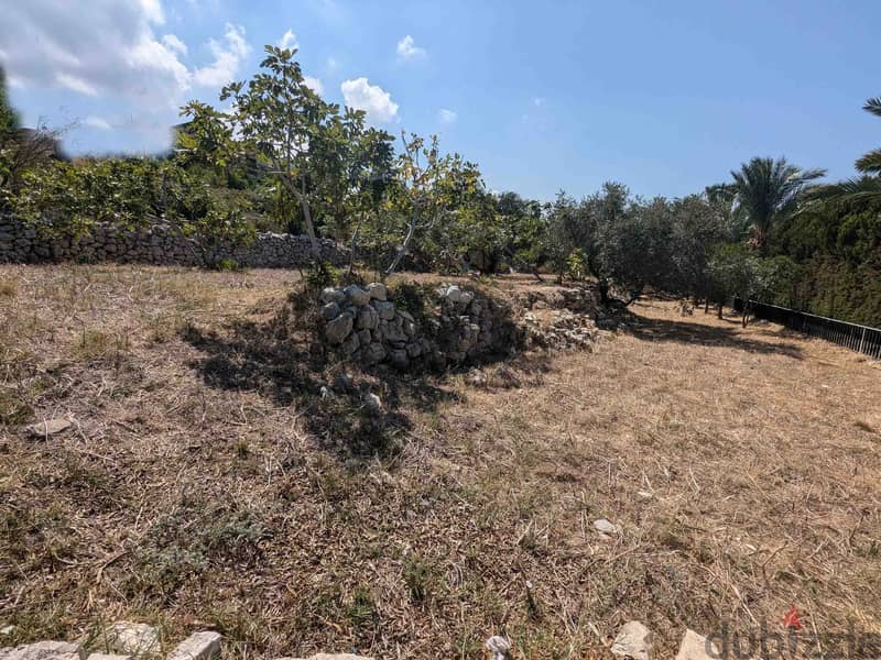 Land For Sale In Berbara | Strategical Location | أرض للبيع |PLS 26106 3