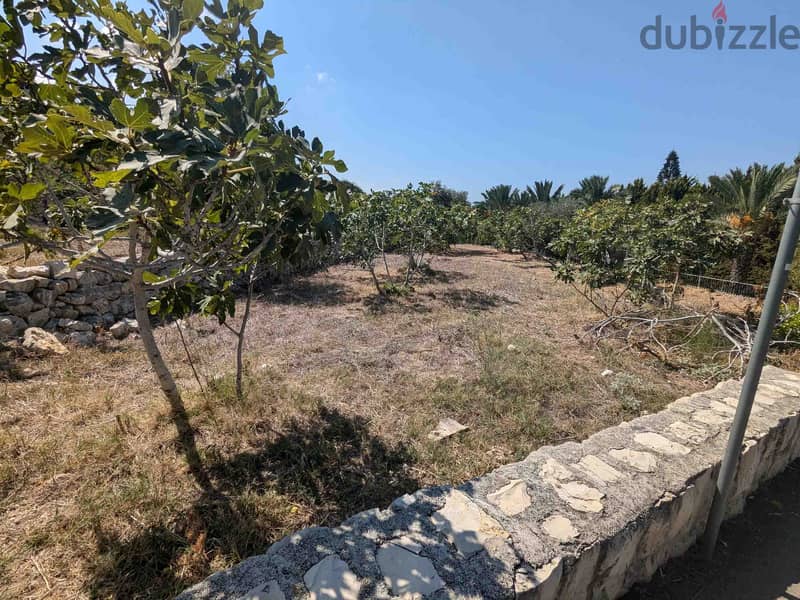 Land For Sale In Berbara | Strategical Location | أرض للبيع |PLS 26106 5