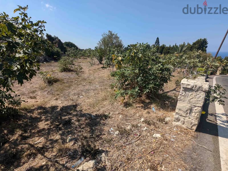 Land For Sale In Berbara | Strategical Location | أرض للبيع |PLS 26106 6