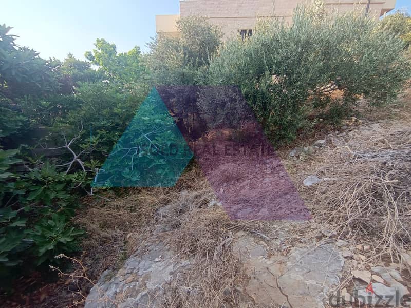 A 380 m2 building and 810 m2 land for sale in Batroun 2