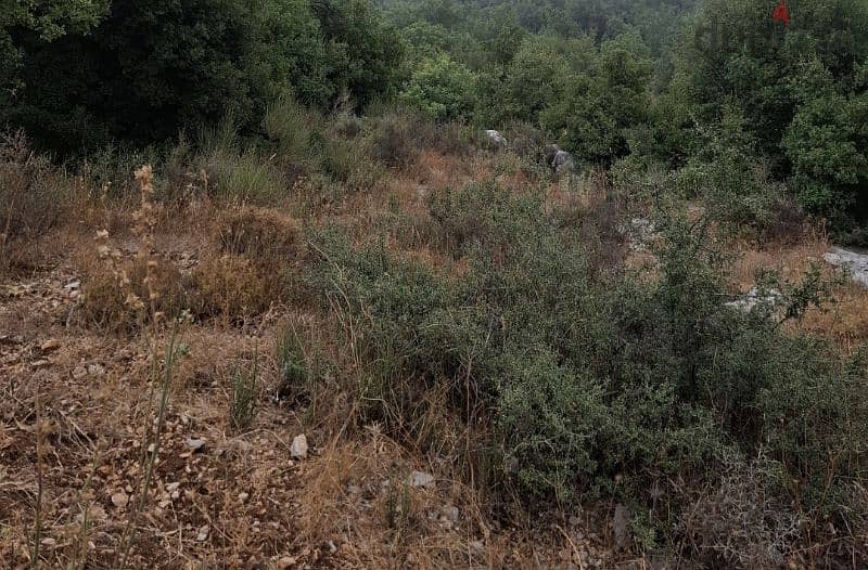 1975m2 Land in Aalali,Batroun عقار للبيع في العلالي البترون 1